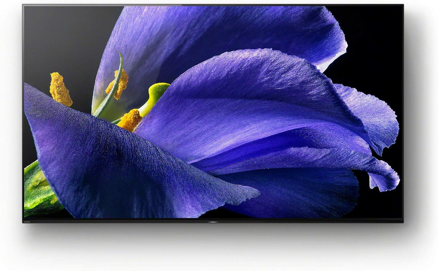 Sony A9G 65-Inch Master Series 4K OLED TV