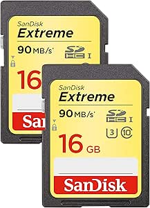 SanDisk SDSDXNE-016G-GNCI2 Extreme SDHC: 16GB Class 10, 2-Pack