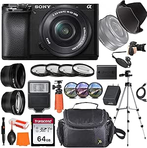 Sony Alpha a6100 Mirrorless Camera Kit with Lens