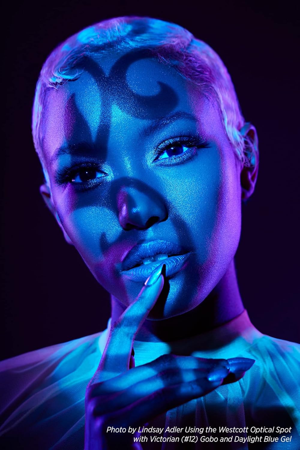 Westcott 4763 GOBO Pack Pattern Designs