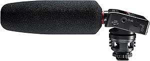 Tascam DR-10SG Camera-Mount Audio Recorder Microphone — main product image
