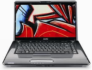 Toshiba Satellite A355-S6924 16-Inch Laptop — main product image