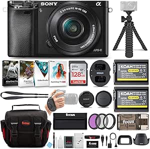 Sony ILCE-6100 Alpha a6100 Mirrorless Camera with 16-50mm Lens Bundle