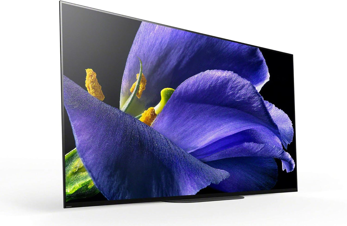 Sony A9G 65-Inch Master Series 4K OLED TV