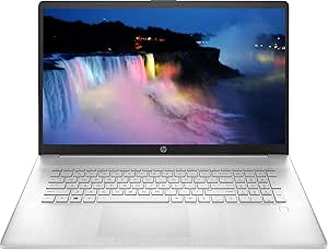 HP HP17.3-0013dx2 Ryzen 5 FHD 17.3" Laptop
