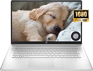 HP 17.3-inch FHD Laptop Ryzen 5 2TB SSD — main product image