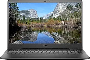 Dell dell 15.6-3000 Premium Intel N4020 Laptop