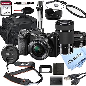 Sony Alpha 6100 (a6100 / Alpha a6100 / α6100) Mirrorless Camera Bundle (Renewed)