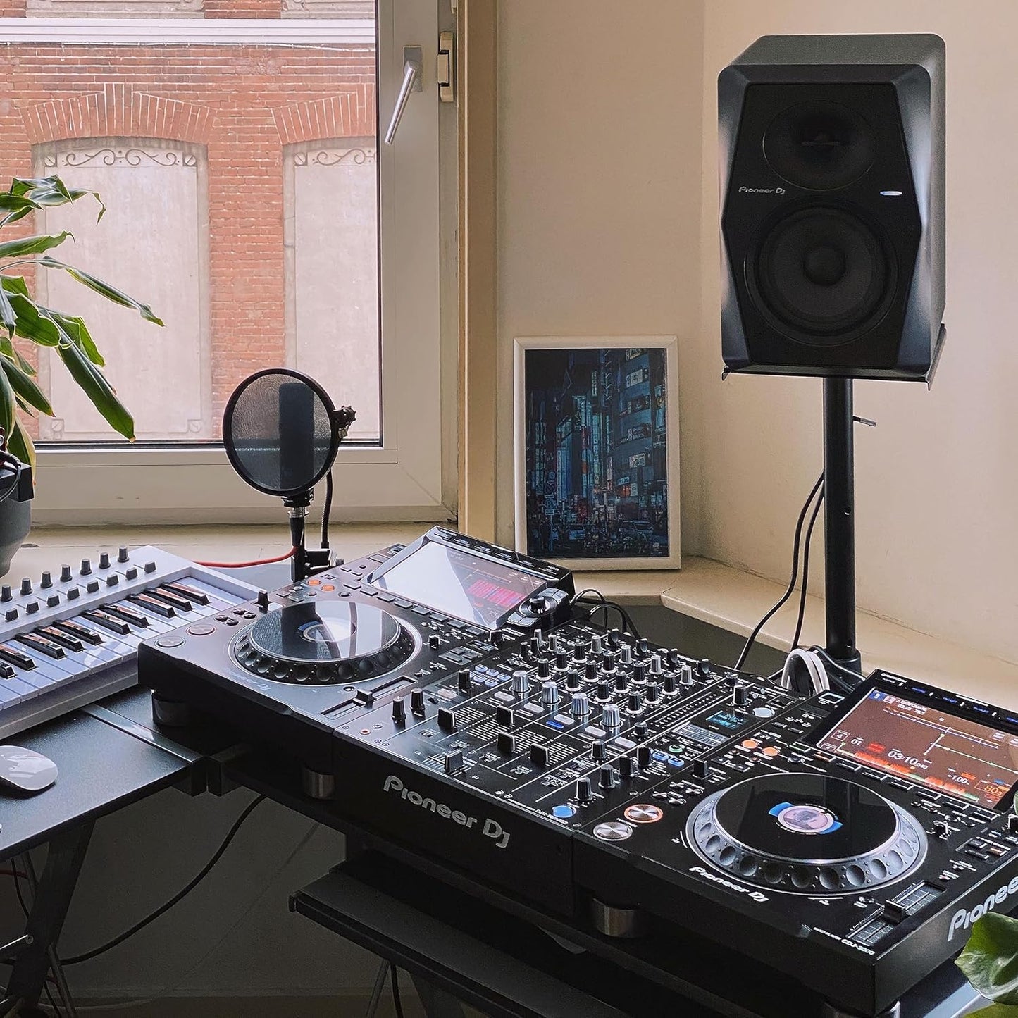 Pioneer DJ VM-50 5.25-inch Active Studio Monitor - Black