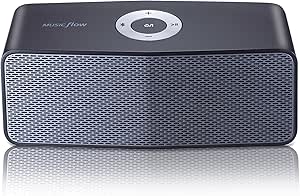 LG NP5550B Music Flow P5 Bluetooth Speaker — main product image
