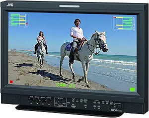 JVC DT-E17L4G 17-Inch Multi-Format LCD Monitor