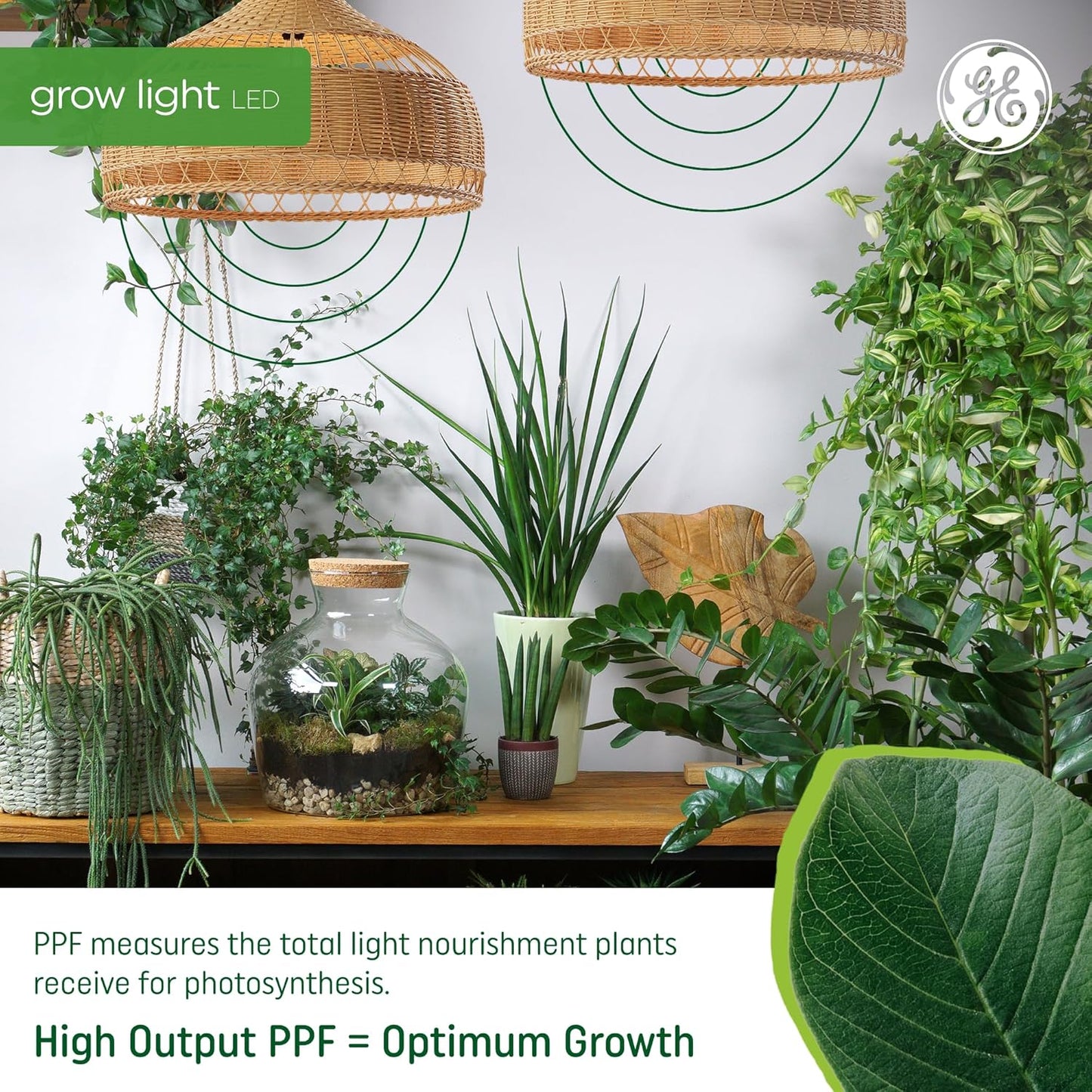 GE 10043168503133 Grow Lights BR30 LED for Indoor Plants 4-Pack