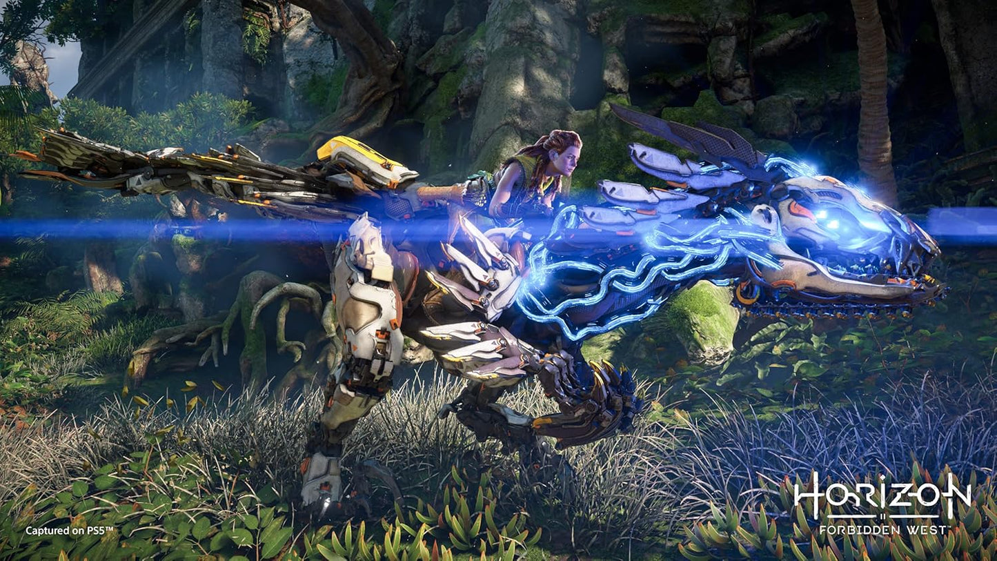 Sony 9720690 Horizon Forbidden West (PS5)