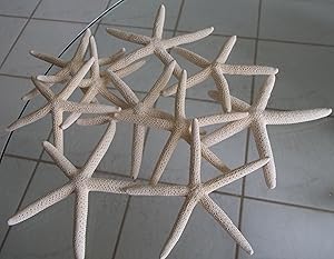 Pelican LOT of 10 White Pencil Starfish Wedding Decor — main product image