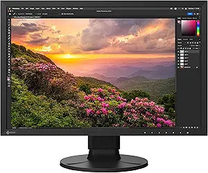 Eizo CS2400S ColorEdge 24.1" IPS LCD Monitor Graphics