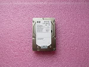 HP 416127-B21 SAS 300GB 15K Internal Hard Drive Renewed