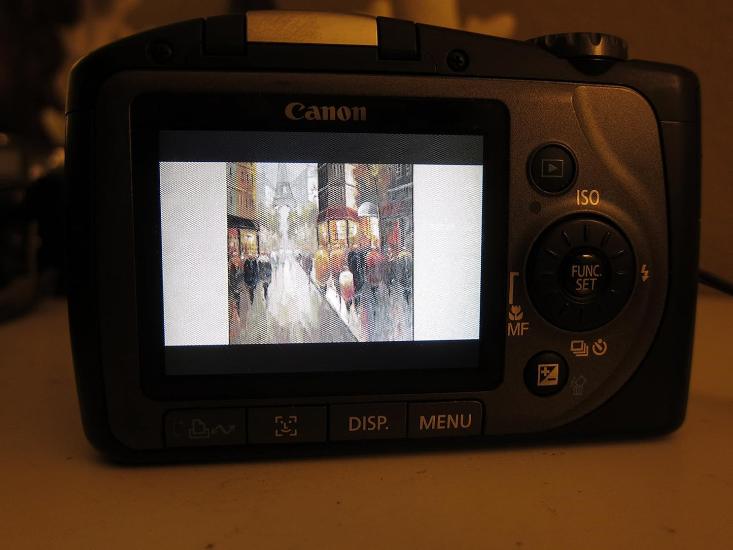 Canon PowerShot SX100IS 8MP Digital Camera