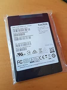SanDisk X300 256GB M.2 Internal SSD SD7SN6S-256G-1122