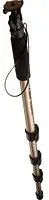 Canon 6195A005 Monopod 100 with Mini-Ballhead
