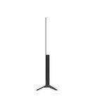 LG E22LGOLED55A1PUA 55