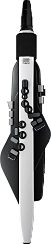 Roland AE-20 Digital Wind Instrument & Strap