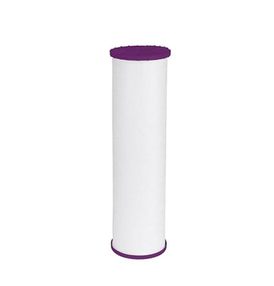 GE FTHPM Whole House Water Filter Replacement