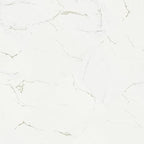 MSI AMZ-LVT-0297-SAM Rivello XL Wintorpe Marble Look Vinyl Flooring Sample