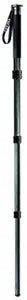 Gitzo GM5541 Series 5 Carbon Fiber Monopod — main product image