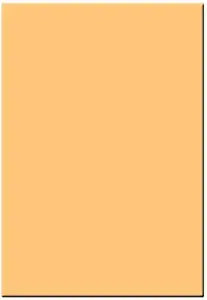 Tiffen 4x5.65 Coral 5 Solid Color Filter — main product image