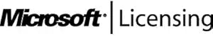 Microsoft Win32 SNGL Open Business License — main product image