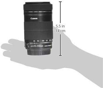 Canon EF-S55-250ISSTM 55-250mm f/4-5.6 IS STM Lens