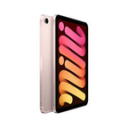 Apple iPad Mini (Wi-Fi + Cellular, 256GB) Pink (Renewed)