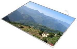 Acer LK.1010D.004 10.1" WSVGA Glossy LED Screen