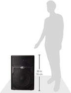 Peavey PVX 15 2-Way Passive PA Speaker