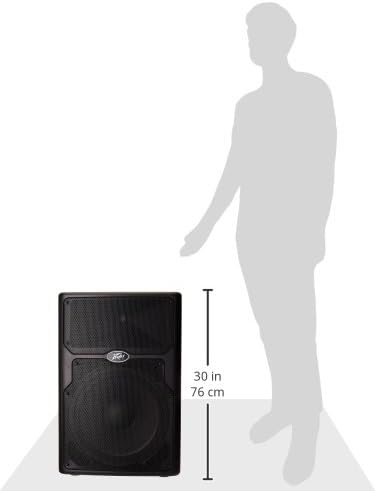 Peavey PVX 15 2-Way Passive PA Speaker