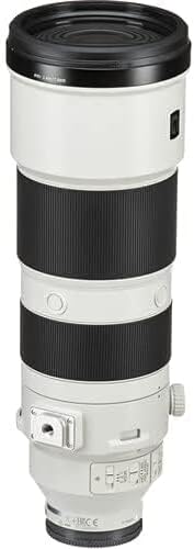 Sony FE 200-600mm OSS Telephoto Zoom Lens