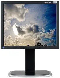 Eizo FlexScan L685 18.1" Rotating LCD Monitor
