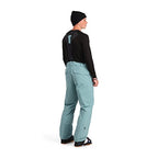 Spyder 221050 Mens Sentinel Ski Pant - Insulated, Regular Fit
