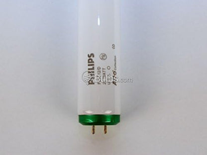 Philips 20W T12 24in Daylight White Fluorescent Tube