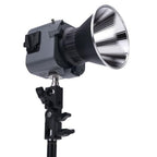 Aputure Amaran 60d S LED Video Light Daylight
