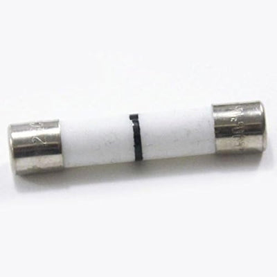 GE WB27X10928 OEM Microwave Fuse