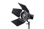 Nanlite FL-11 Forza 60 Fresnel Lens with Barndoors