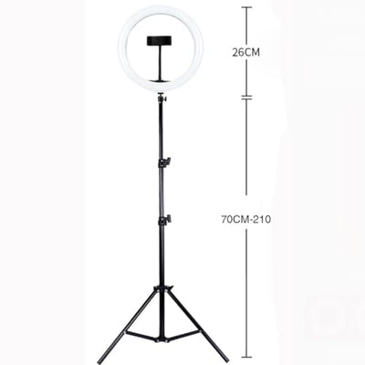 BFKRYP Circular LED Fill Light with Phone Holder Stand