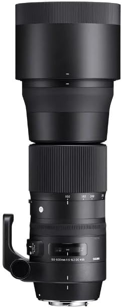 Sigma 150-600mm Nikon Lens with 1.4x Teleconverter Kit