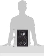 Behringer B2030A Truth Powered Studio Monitor