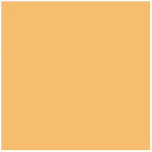 Rosco Roscolux #3441 Full Straw CTS Filter