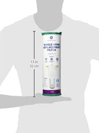 GE FTHLM Whole House Water Filter - 3 Month