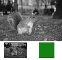 Hoya Yellow/Green Glass Filter 46mm (X0) #11 — main product image