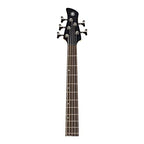Yamaha TRBX605FM TBL: 5-String Flamed Maple Bass Guitar