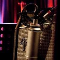 Rode RM2 Microphone Mount Desktop Voice-Over Mic